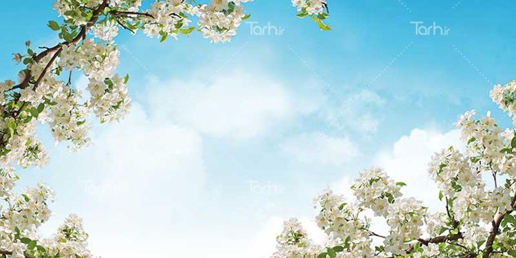 طرح psd آسمان مجازی 1116179